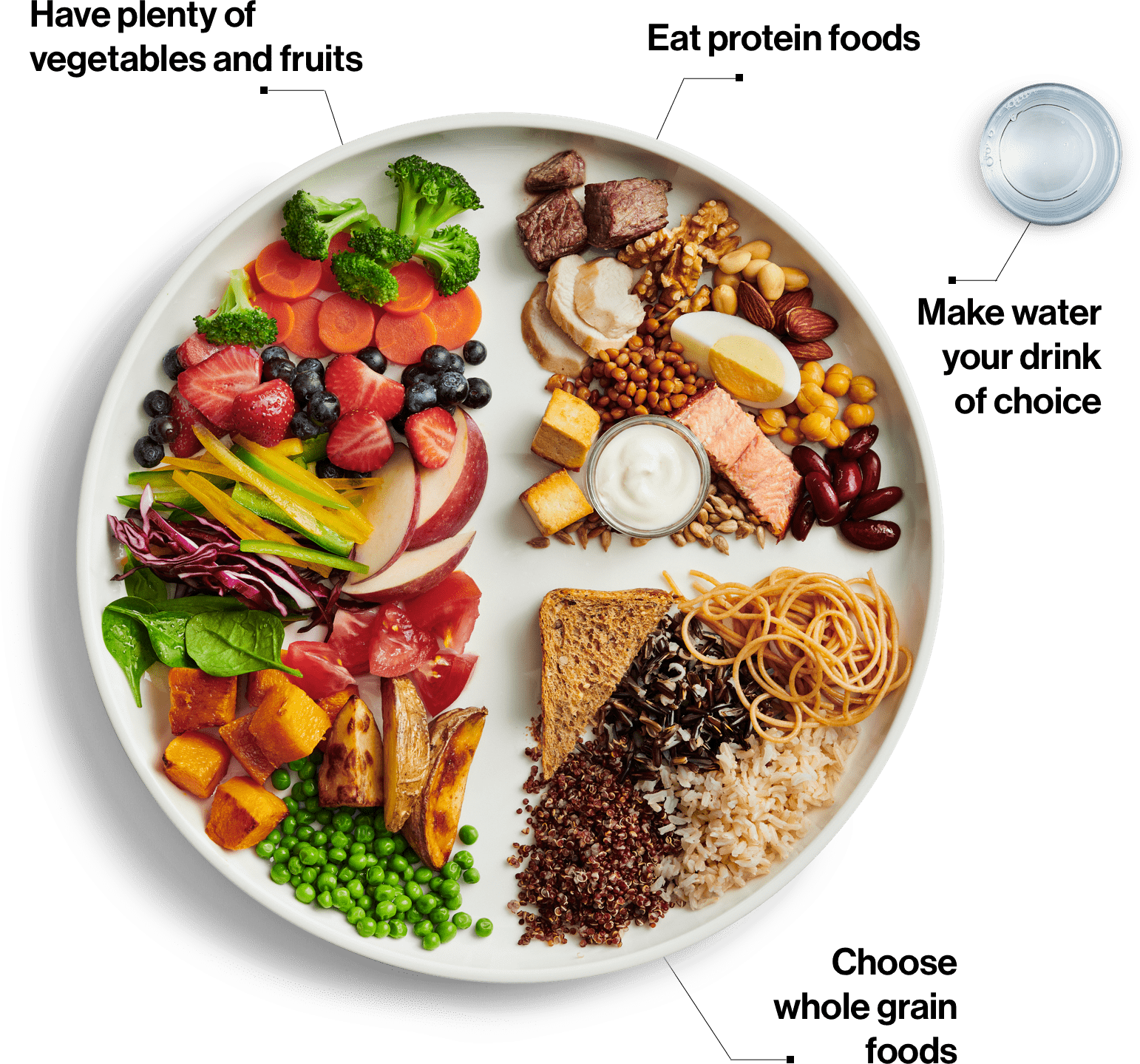 Using the 2020 Canada Food Guide to Improve your School Lunches